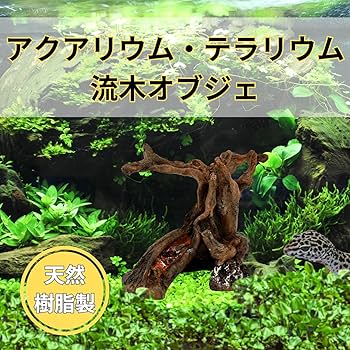 8102+EVa04L._AC_UF350, 8102+EVa04L._AC_UF350,